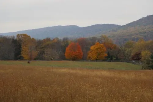 Fall-Detweiler